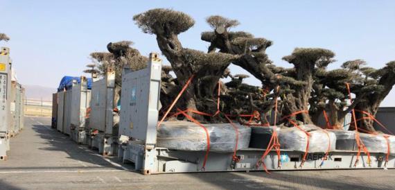 الإمارات تتوسع في احتلال الجُزُر اليمنية